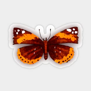 Bugs-5 Butterfly Sticker